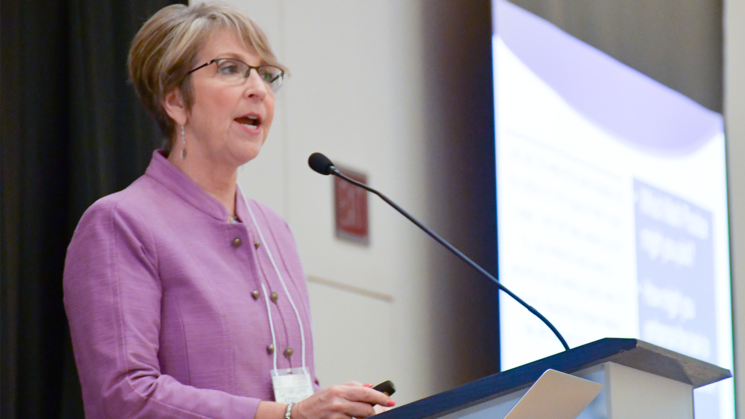 Jennifer Bay-Williams delivering the keynote speech at the NC State and Triangle Math Alliance Summit