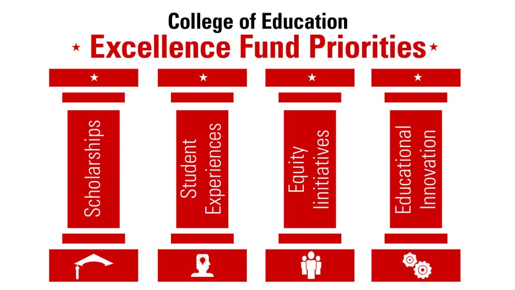 Excellence Fund Pillars