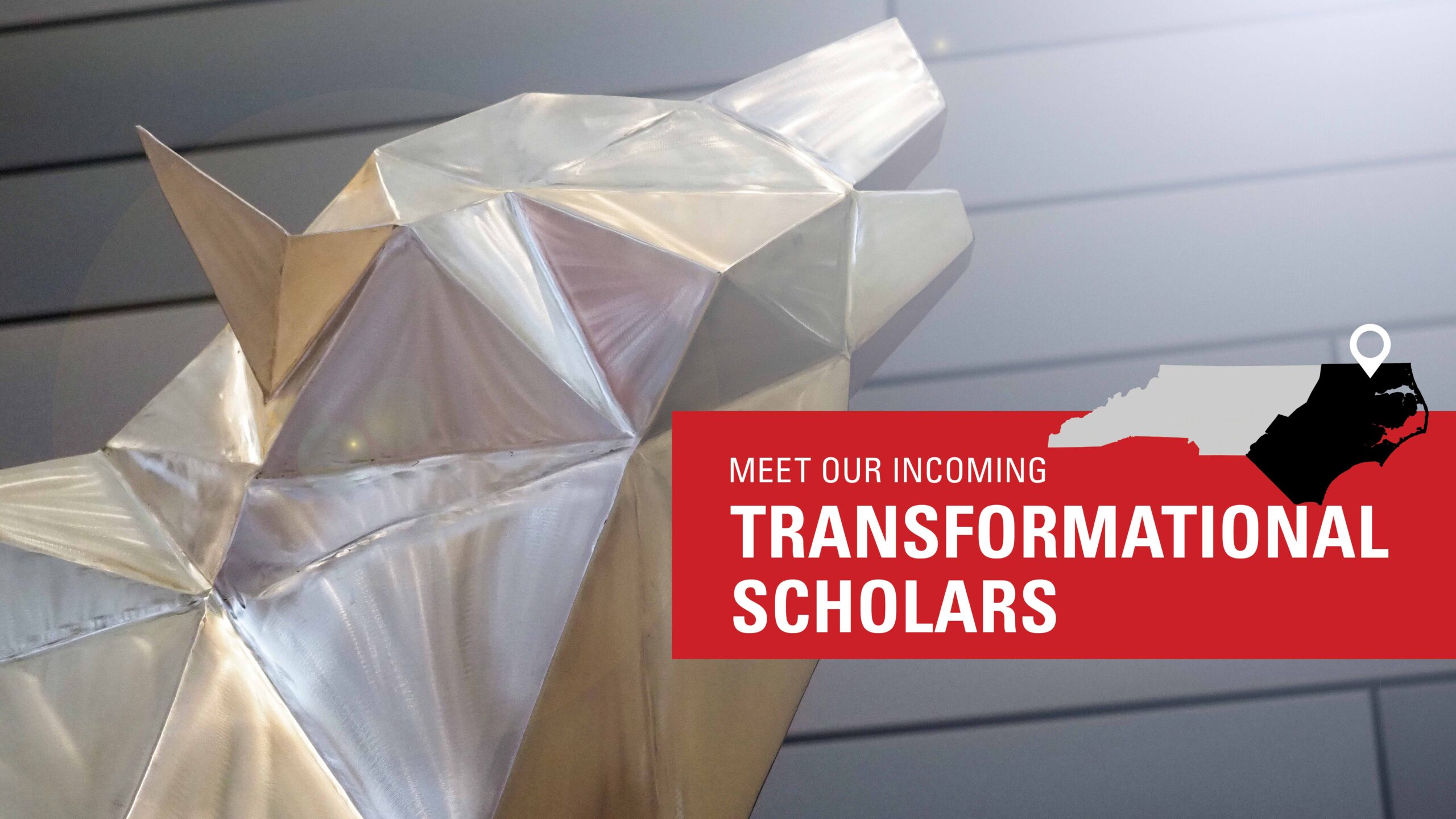 Meet our Transformational Scholars