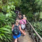 Transformational Scholars walking through the rainforest.