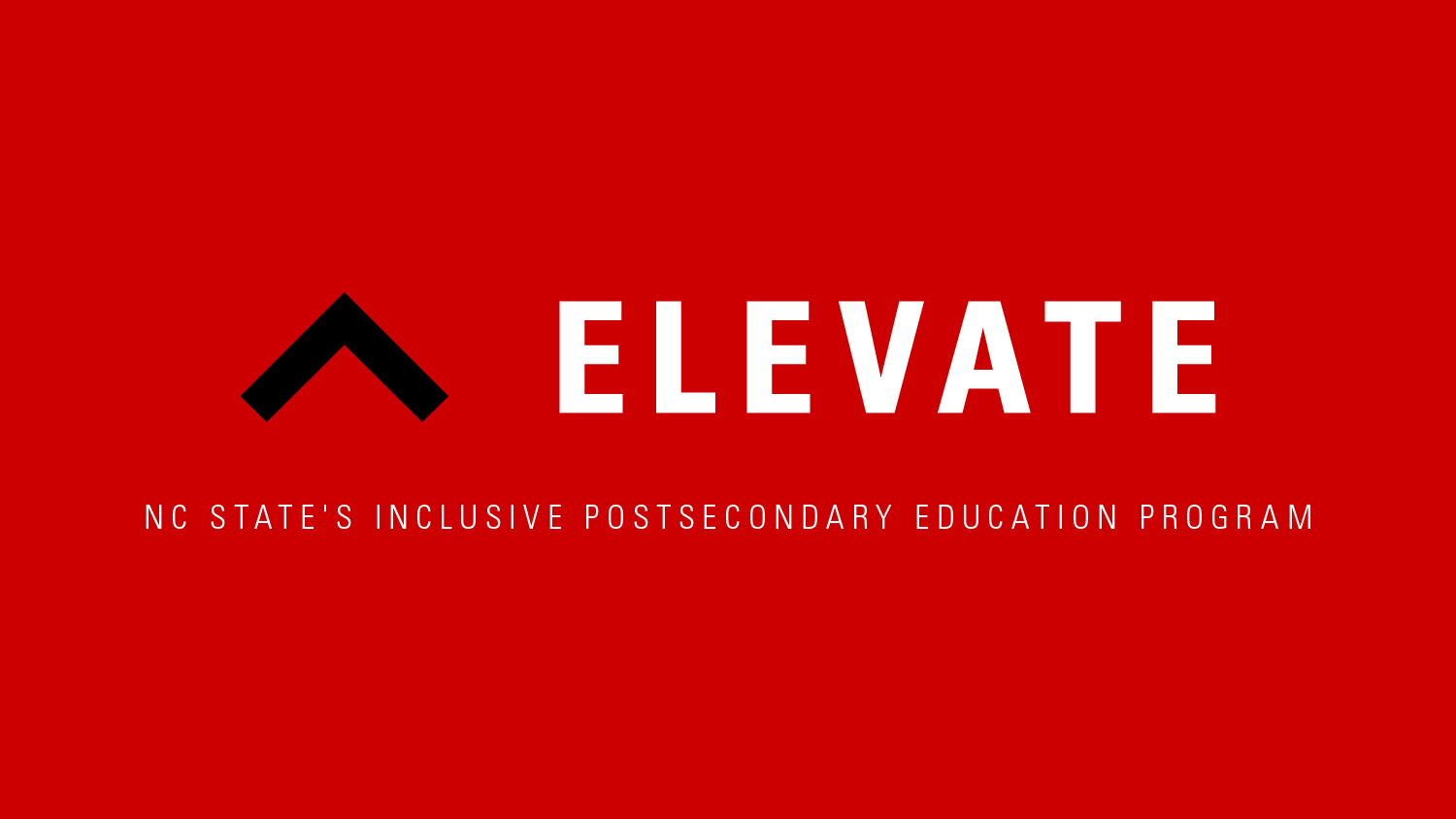 Elevate wordmark