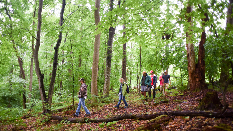 Students participating in outdoor education.