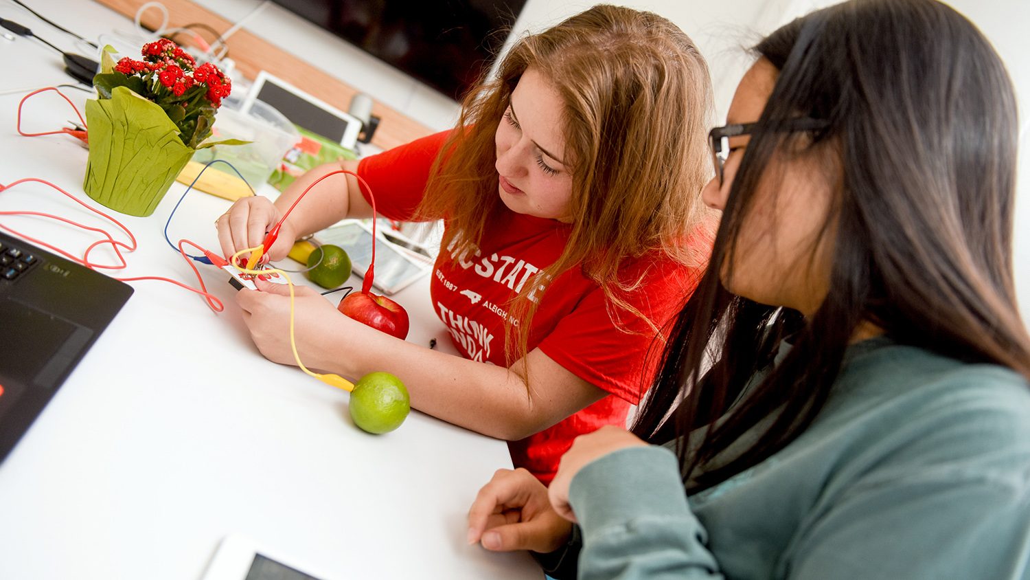 Students in METRC doing an experiment with apples.