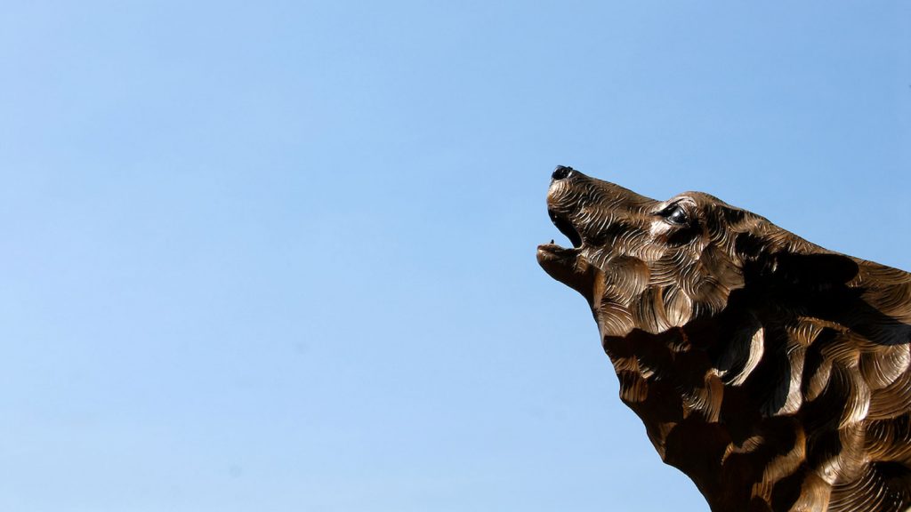 Wolf statue and the Park Alumni Center.