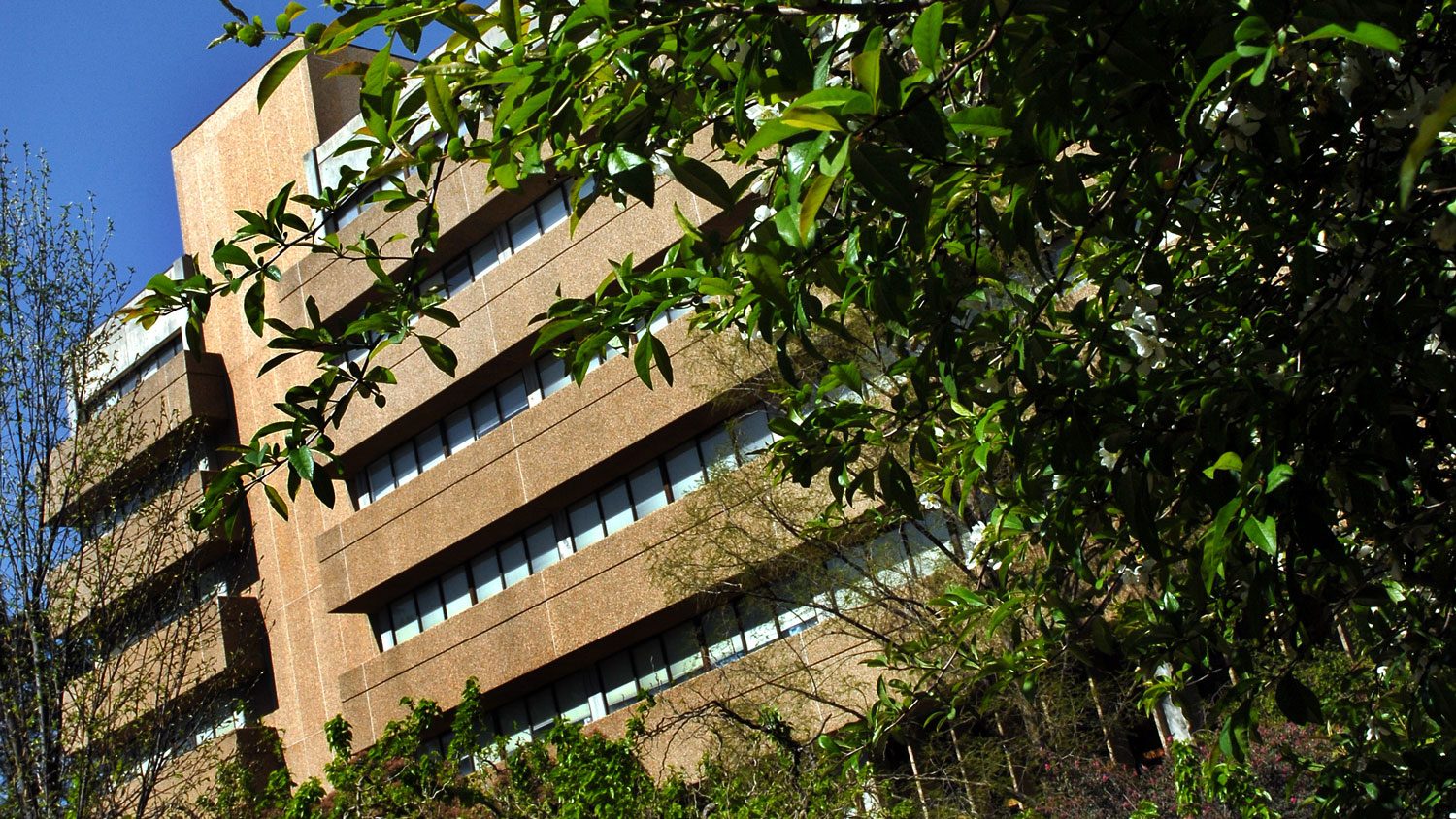 Poe Hall