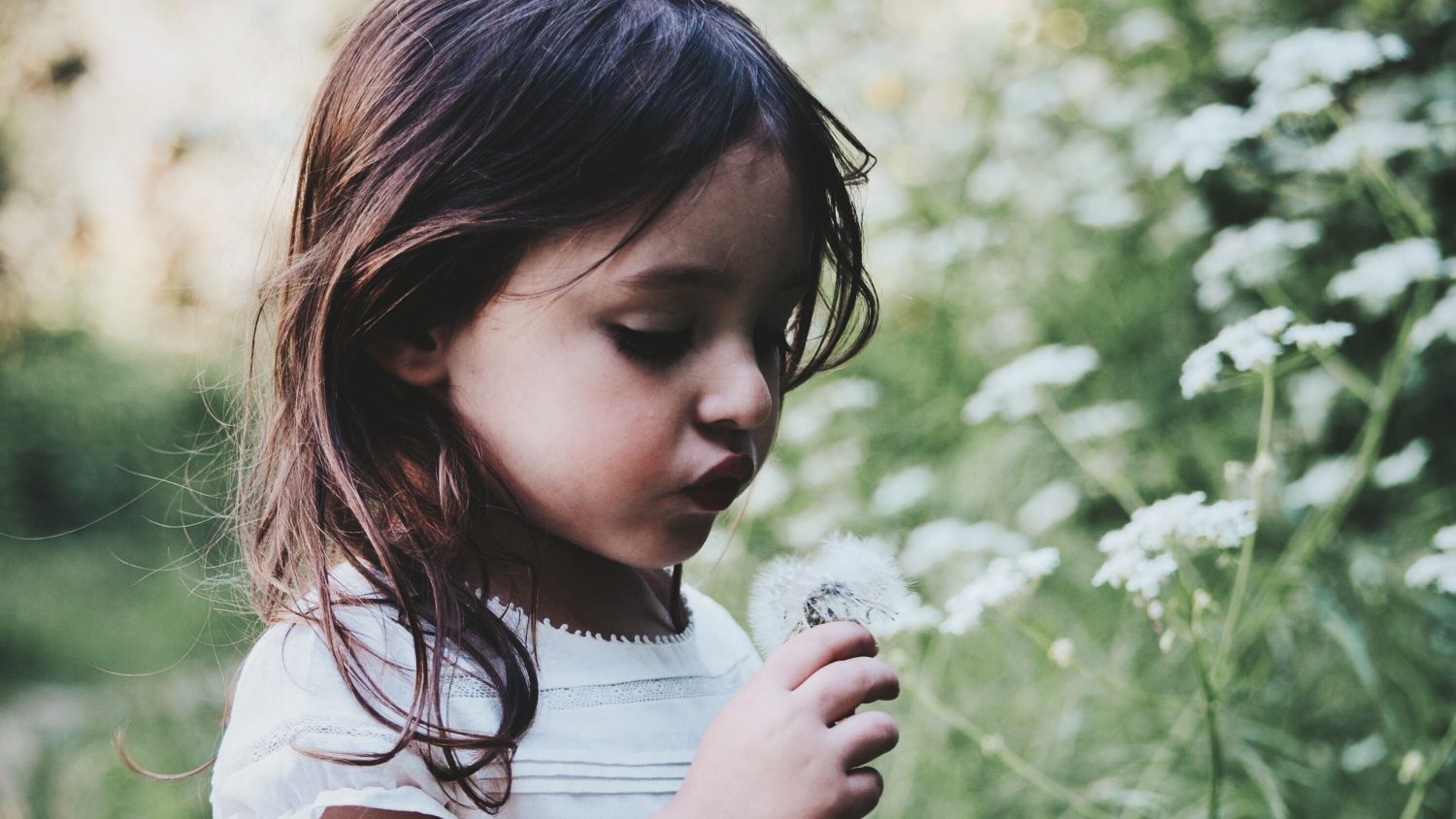 A child holding a dandelion