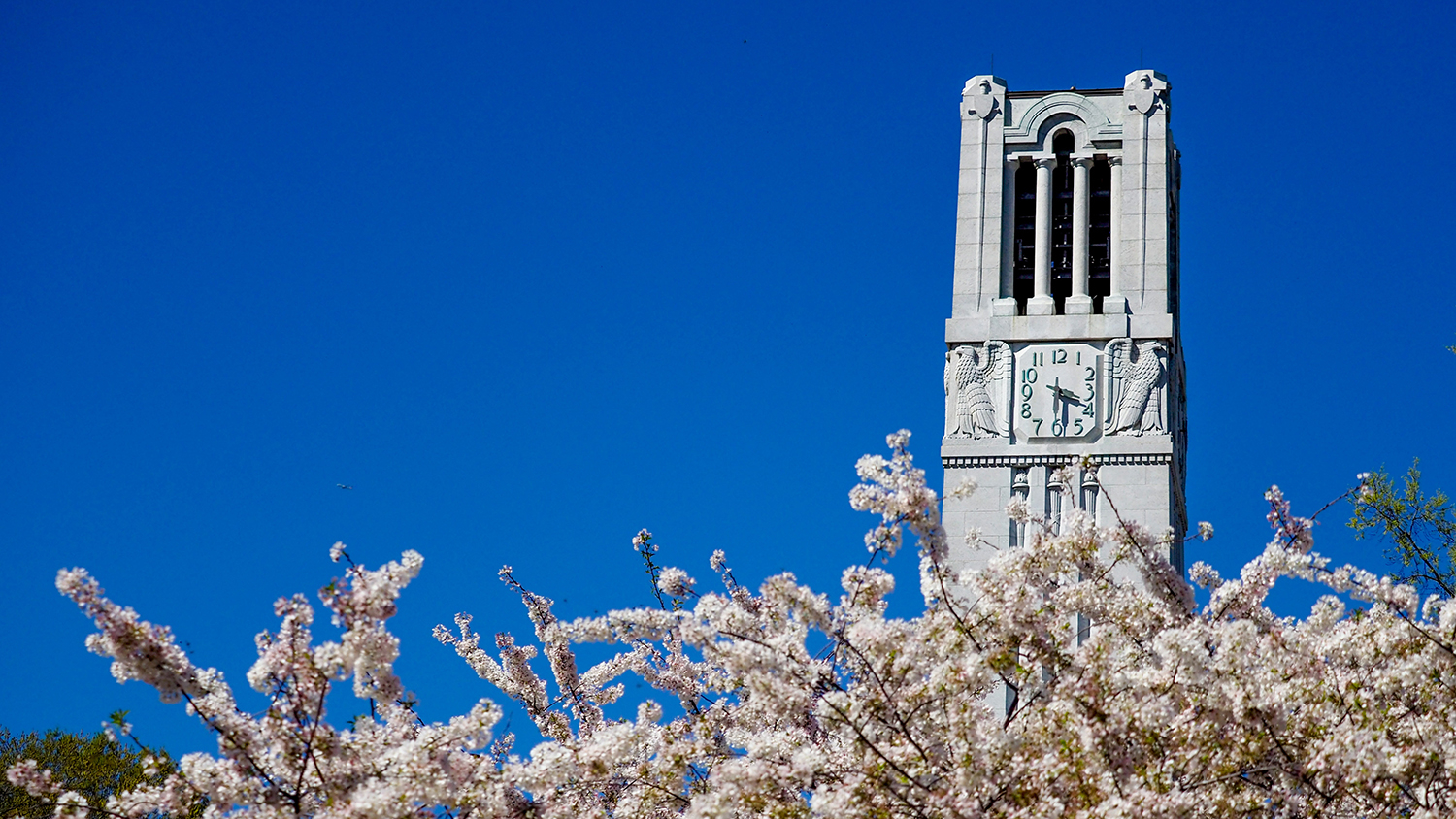 Memorial Belltower